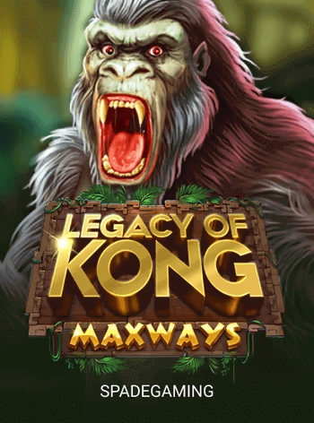 Video slot game cover